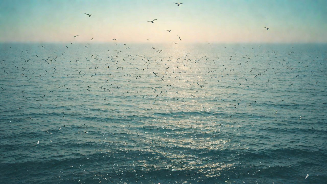 灵活多样的期限与规模