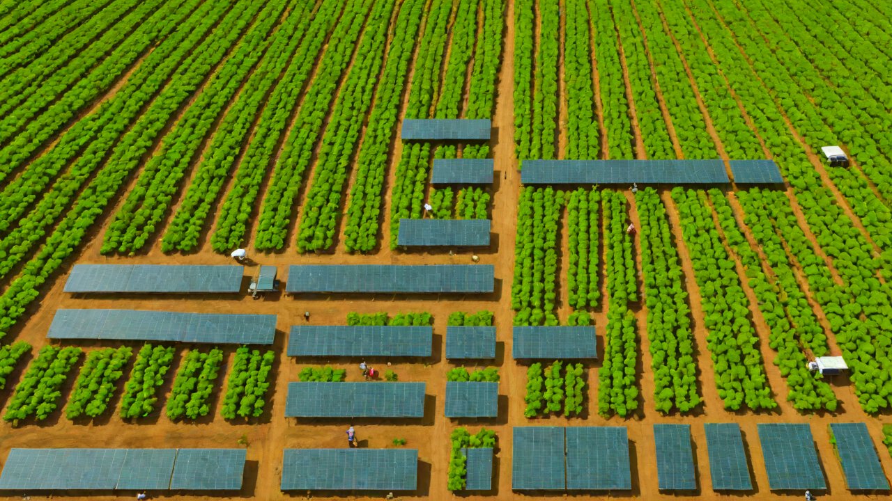 风险管理与资产多元化